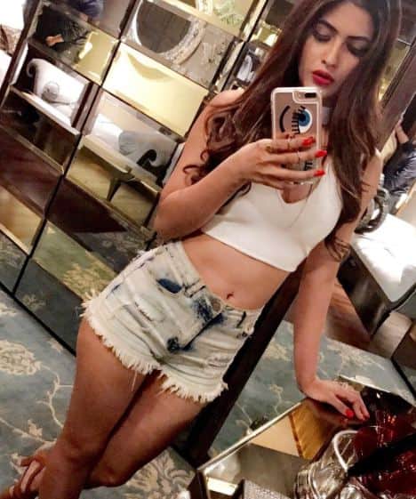 She was also seen in Bollywood film 'Pyaar Ka Punchnama 2'. (PC: Instagram/Karishmasharma22)