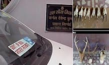 Meerut: Retd. Colonel\'s residence raided, 1 cr cash, animal skin-organs, around 40 rifles & pistols recovered