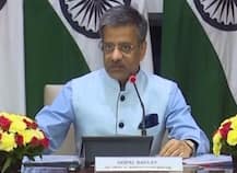 ICJ judgment first step in saving Jadhav: India