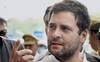 Are bots behind Rahul Gandhi\'s popularity surge on Twitter?