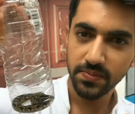 Snake enters 'Naamkarann' lead actor Zain Imam’s make-up room, terrifies crew Snake enters 'Naamkarann' lead actor Zain Imam’s make-up room, terrifies crew