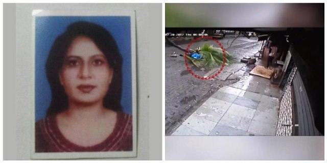 Watch: Former Doordarshan anchor crushed by falling tree in Mumbai, family blames BMC Watch: Former Doordarshan anchor crushed by falling tree in Mumbai, family blames BMC