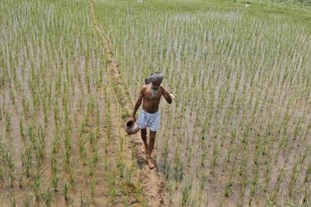 MSP for kharif crops to be 1.5 times input cost: Jaitley MSP for kharif crops to be 1.5 times input cost: Jaitley
