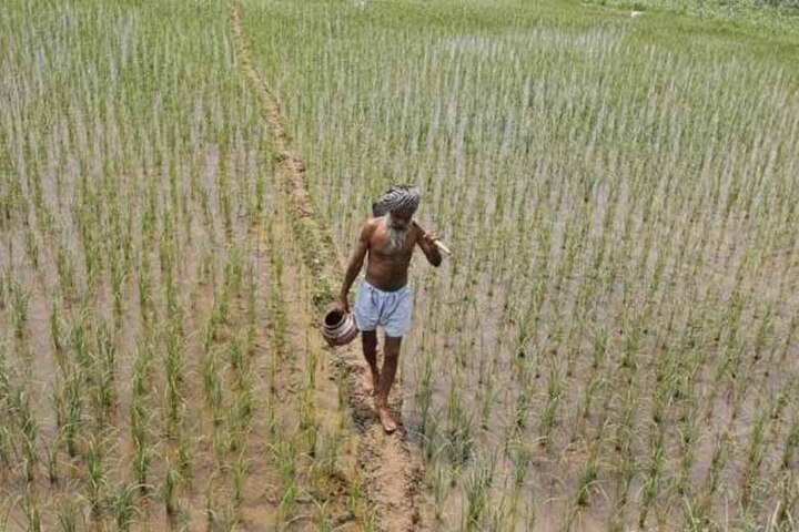 MSP for kharif crops to be 1.5 times input cost: Jaitley MSP for kharif crops to be 1.5 times input cost: Jaitley