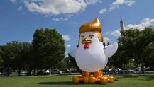 Indian-origin activist places giant inflatable Trump chicken