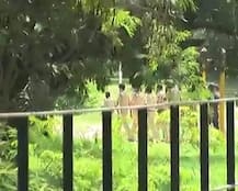 Chandigarh: 12-year-old raped while returning from Independence Day event