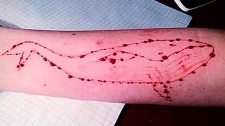 The 17-year-old girl has been held on suspicion of masterminding the online suicide game which is said to be the reason for deaths of more than 130 teens worldwide.