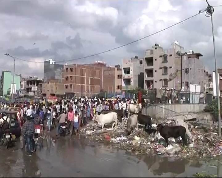 During summers, the landfill sites catch fire.