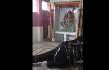 Sacrificial Animals Kept in Hindu Temple In Karachi For Eid