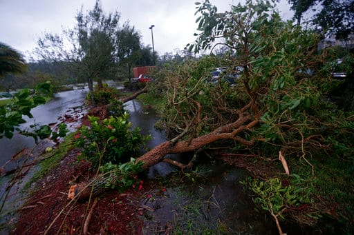 Fallen trees are seen during Hurricane Irma, in Fort Myers, Fla., Sunday, Sept. 10, 2017. Hurricane Irma set all sorts of records for brute strength before crashing into Florida, flattening islands in the Caribbean and swamping the Florida Keys. (AP Photo/Gerald Herbert)