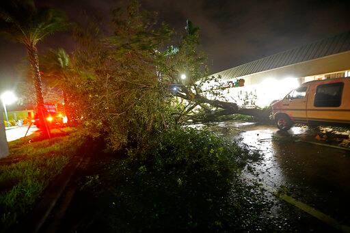 A downed tree lies across Cape Coral Parkway during Hurricane Irma in downtown Cape Coral, Fla., Sunday, Sept. 10, 2017. (AP Photo/Gerald Herbert)