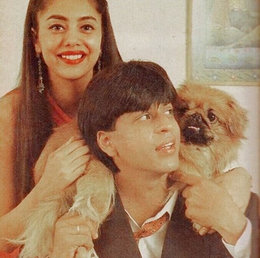 Shah Rukh, Gauri look ADORABLE in this throwback photo Shah Rukh, Gauri look ADORABLE in this throwback photo