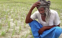 No waiver for farmers for loan debt below Rs 10,000: UP Government 