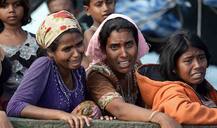 Congress asks Centre to make public evidence of Rohingyas\' link with IS