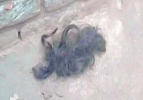 Recently, after a spate of fresh braid-chopping incidents reported from Jammu and Kashmir, the state police appealed to the people of the state to help and co-operate the security administration and let police investigate the cases. (Image: ANI)