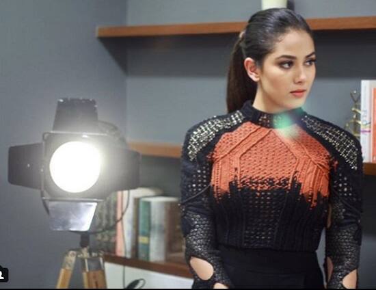 Meera Rajput/Image- Instagram@shahidkapoor Verified