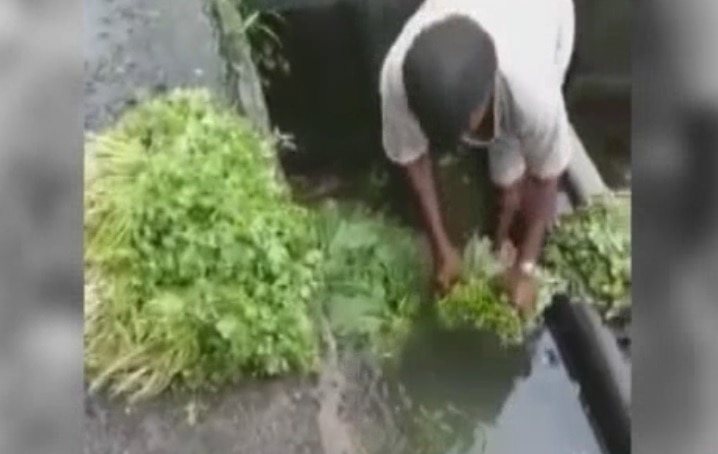 Viral Sach: Your vegetables are ‘cleaned’ in gutter water? Viral Sach: Your vegetables are 'cleaned' in gutter water?