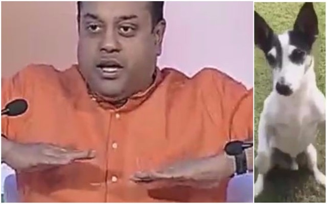 WATCH: When BJP's Sambit Patra makes fun of Rahul Gandhi's dog Pidi WATCH: When BJP’s Sambit Patra makes fun of Rahul Gandhi’s dog Pidi