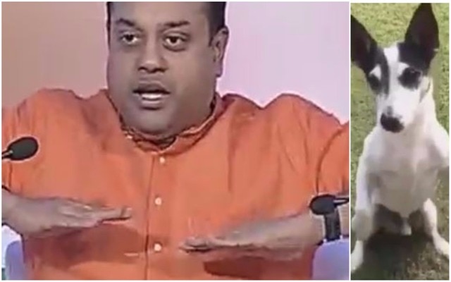 WATCH: When BJP’s Sambit Patra makes fun of Rahul Gandhi’s dog Pidi WATCH: When BJP's Sambit Patra makes fun of Rahul Gandhi's dog Pidi