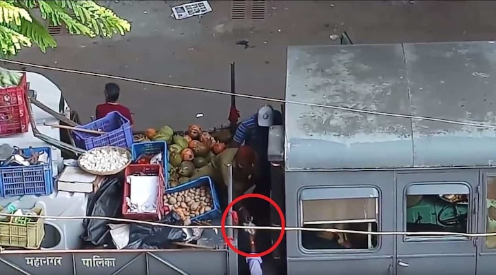 Viral Video: BMC staff allegedly steals sized goods Viral Video: BMC staff allegedly steals seized goods