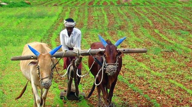 Here is a good news for 10 lakh Uttar Pradesh farmers Uttar Pradesh: 10 lakh farmers to be trained in million farmers school