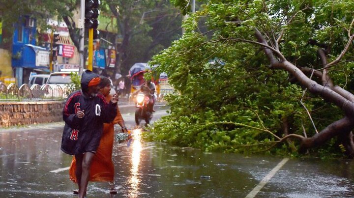 Mumbai: 45 year old woman dies after tree falls on her Mumbai: 45 year old woman dies after tree falls on her