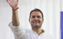Rahul Gandhi: How well do you know about new Congress president?