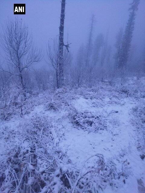 The local MeT office had already announced that snowfall is likely on December 11 and 12 and the wet spell may continue until December 15.