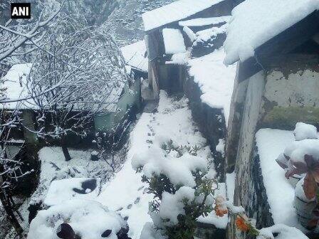 An active fresh Western Disturbance over the region led to precipitation at many places in Himachal Pradesh on December 11 and 12.