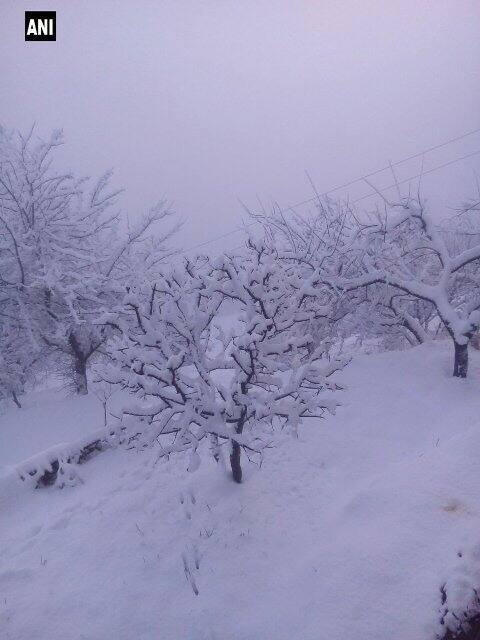 So all those who love to witness snowfall, this is the time to visit these states.