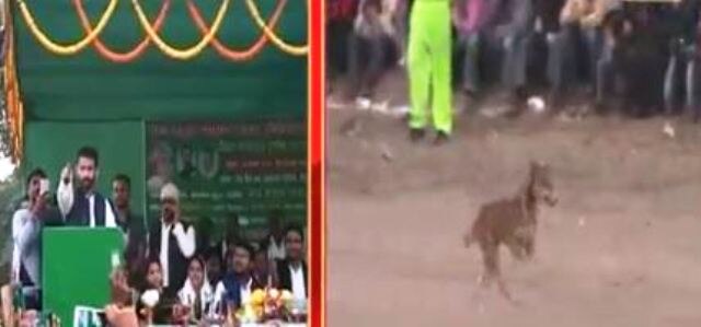 ‘RSS ka sipahi ghus gaya, bahar karo isko,’ says Lalu’s son Tej Pratap Yadav while pointing towards a dog 'RSS ka sipahi ghus gaya, bahar karo isko,' says Lalu's son Tej Pratap Yadav while pointing towards a dog