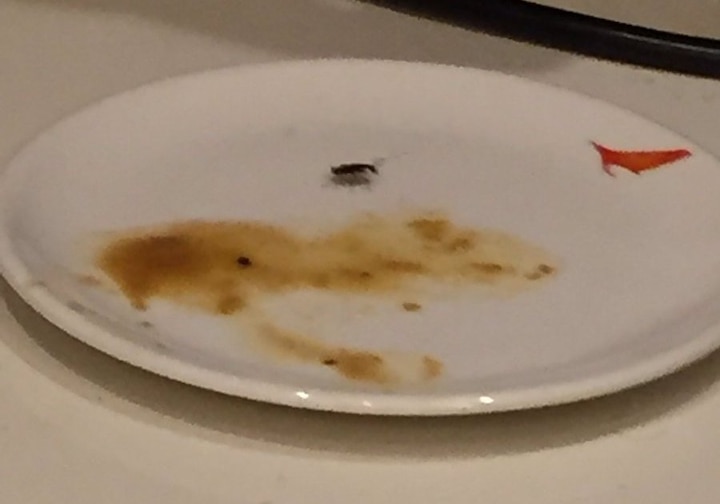Cockroach in food served at Air Indis VIP lounge, airline apologises Cockroach in food served at Air India's VIP lounge