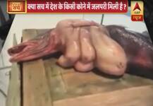 Viral Sach: Mermaid found in India?