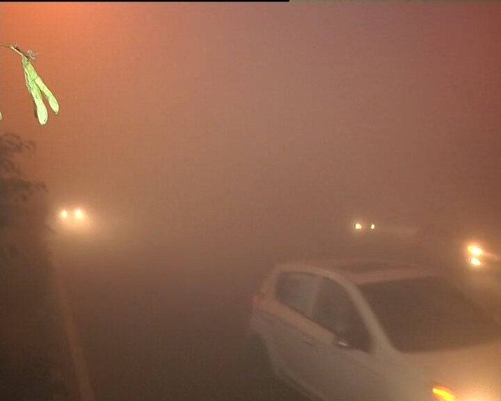 Delhi wakes up to season's 'worst fog', trains, flights affected; visibility less than 50 metres