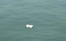 Mumbai chopper crash: Human remains found in sea sent for DNA tests