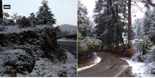 Uttarakhand: Munsiyari in Pithoragarh district received fresh snowfall (Image: ABP Live)