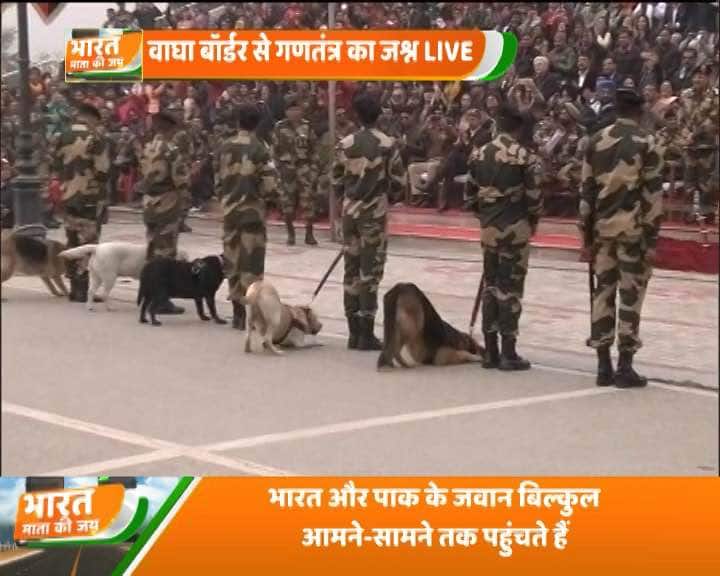 There is a tradition of exchanging sweets between the border guards of both countries for the past several years.(Image: ABP NEWS)