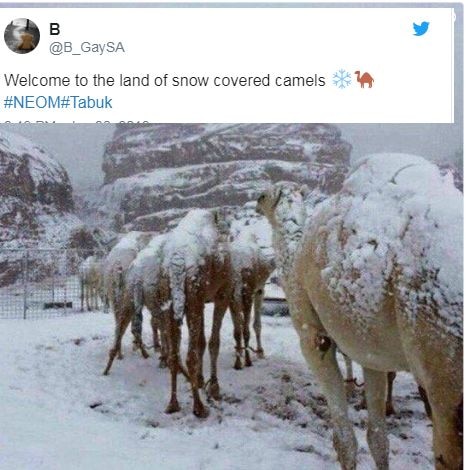 Yes, it snowed in Saudi Arabia’s deserts and pictures are surprising Yes, it snowed in Saudi Arabia’s deserts and pictures are surprising