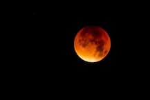 Get Out Of Your Homes And Offices Today To Witness The Amazing Super Blue Blood Moon!