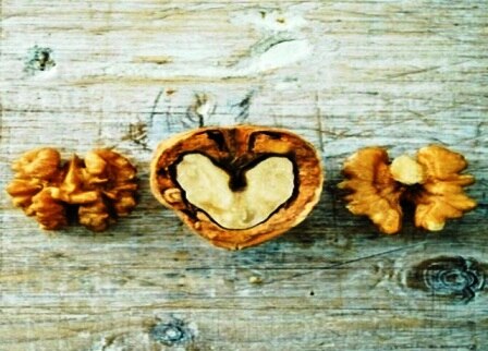 Gift your loved ones a healthy heart this Valentine’s Day with California Walnuts Gift your loved ones a healthy heart this Valentine's Day with California Walnuts