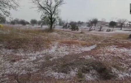 Maharashtra hailstorm: 1.25 lakh hectare of crops damaged Maharashtra Hailstorm: 1.25 lakh hectare of crops damaged across 1,086 villages