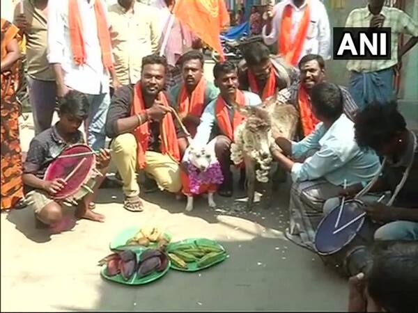 Chennai: Bharat Hindu Front workers get a dog and a donkey married in protest against Valentine's Day (Image Courtesy -ANI)
