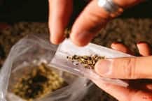 Hostel Students In Telangana Find 100 Kg Ganja Under Bed, Allege That Warden Hid It There