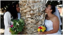 Women In Mexico Give Up On Men, Decide To Marry Trees. Know Why