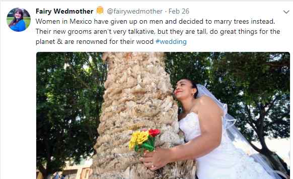 Women In Mexico Give Up On Men, Decide To Marry Trees. Know Why