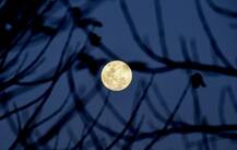 Moon to have 4G network in 2019