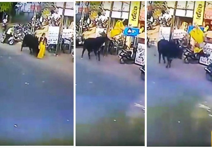 Shocking video! Bull tosses woman in air Shocking Video! Angry Bull Tosses Woman In Air