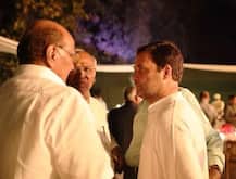 Rahul meets Sharad Pawar: Alliance on the table?