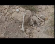 Spot where 39 Indians were buried in Mosul: Skeletal remains seen in pictures
