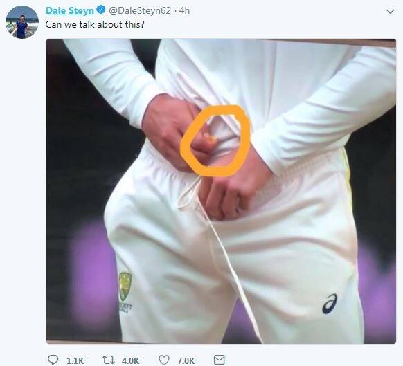 Proteas pacer Dale Steyn who has been out of the series due to injury was among the first to share the controversial incident 